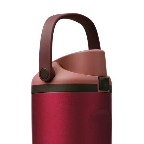 Owala Holiday Collection FreeSip? Sway Poinsettia 30oz