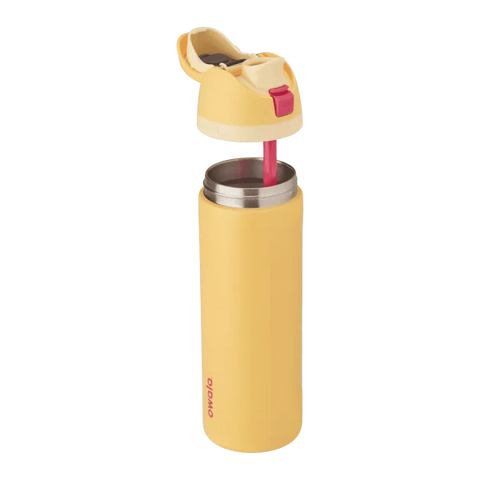 Owala FreeSip Insulated Water Bottle Disney Princess Collection 24 oz- Rapunzel