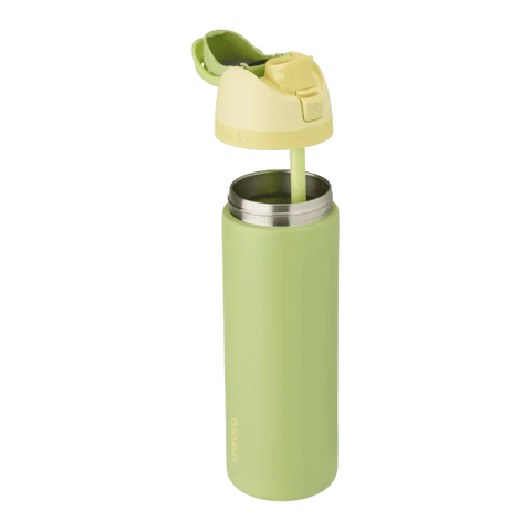 Owala FreeSip Insulated Water Bottle Disney Princess Collection 24 oz- Rapunzel