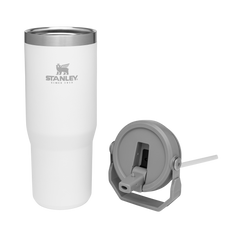The IceFlow™ Flip Straw Tumbler | Stanley Create