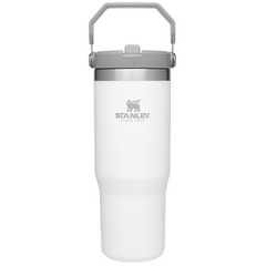 The IceFlow™ Flip Straw Tumbler | Stanley Create