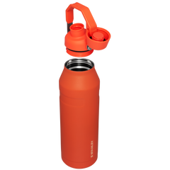 IceFlow™ Bottle with Fast Flow Lid