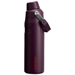 IceFlow™ Bottle with Fast Flow Lid | 24 OZ - Stanley Create