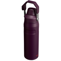 IceFlow™ Bottle with Fast Flow Lid | 24 OZ