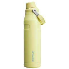 IceFlow™ Bottle with Fast Flow Lid | 36 OZ - Stanley Create