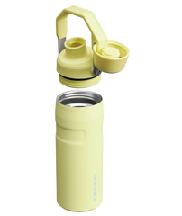 IceFlow™ Bottle with Fast Flow Lid