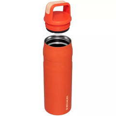 Stanley 24oz Stainless Steel IceFlow Aerolight Water Bottle Cap and Carry