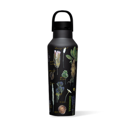 Harry Potter Sport Canteen