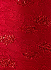Sommers Lace Mini Dress - Red