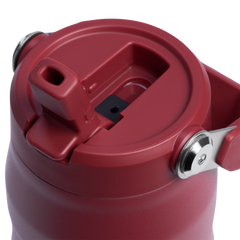The IceFlow™ Bottle with Flip Straw Lid