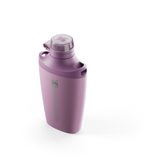 The Stanley Cross Bottle