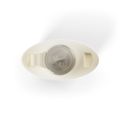 The Stanley Cross Bottle
