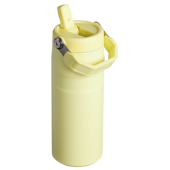 The IceFlow™ Bottle with Flip Straw Lid