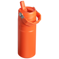 The IceFlow™ Bottle with Flip Straw Lid