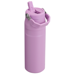 The IceFlow™ Bottle with Flip Straw Lid | Stanley Create