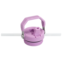 The IceFlow™ Bottle with Flip Straw Lid