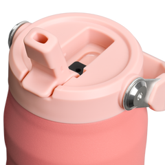 The IceFlow™ Bottle with Flip Straw Lid