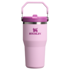 The IceFlow™ Flip Straw Tumbler | Stanley Create