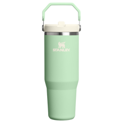 The IceFlow™ Flip Straw Tumbler | Stanley Create