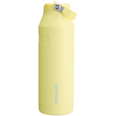 The IceFlow™ Bottle with Flip Straw Lid