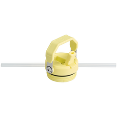 The IceFlow™ Bottle with Flip Straw Lid