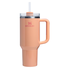 The Quencher H2.0 Flowstate™ Tumbler