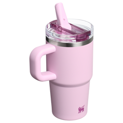 The Quencher ProTour Flip Straw Tumbler | Stanley Create
