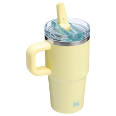 The Quencher ProTour Flip Straw Tumbler | Stanley Create