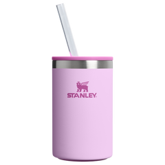 The Everyday Can Cooler Cup