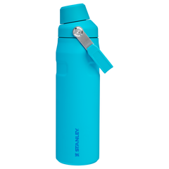 IceFlow™ Bottle with Fast Flow Lid