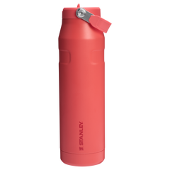 The IceFlow™ Bottle with Flip Straw Lid