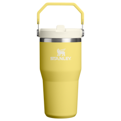 The IceFlow™ Flip Straw Tumbler