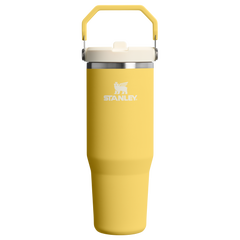 The IceFlow™ Flip Straw Tumbler | Stanley Create