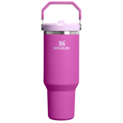 The IceFlow™ Flip Straw Tumbler | Stanley Create