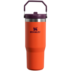 The IceFlow™ Flip Straw Tumbler