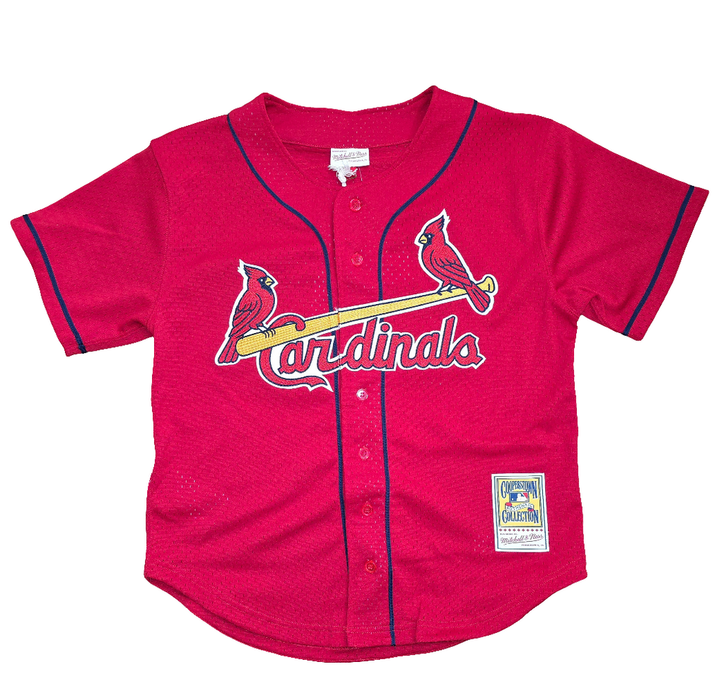 St. Louis Cardinals Mark McGwire Mitchell & Ness BP Jersey