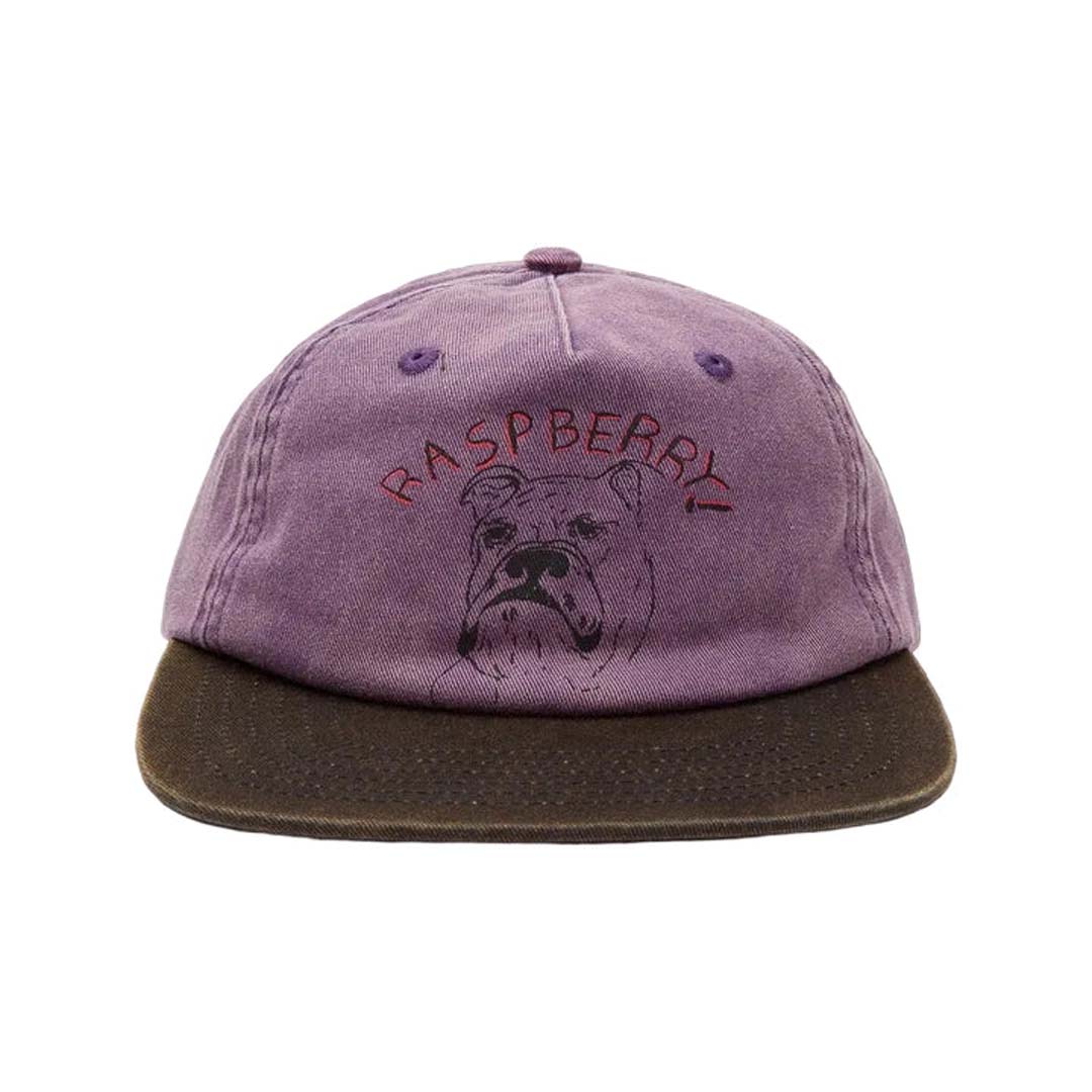 GV Gallery Bulldog Hat Purple