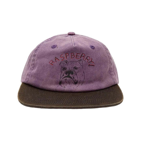GV Gallery Bulldog Hat Purple