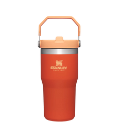 The IceFlow™ Flip Straw Tumbler