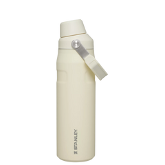 IceFlow™ Bottle with Fast Flow Lid | 24 OZ
